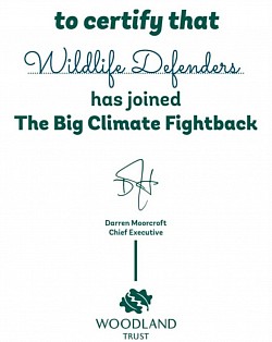 Fightback